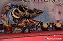 VBS_8766 - Festival dell'Oriente 2023